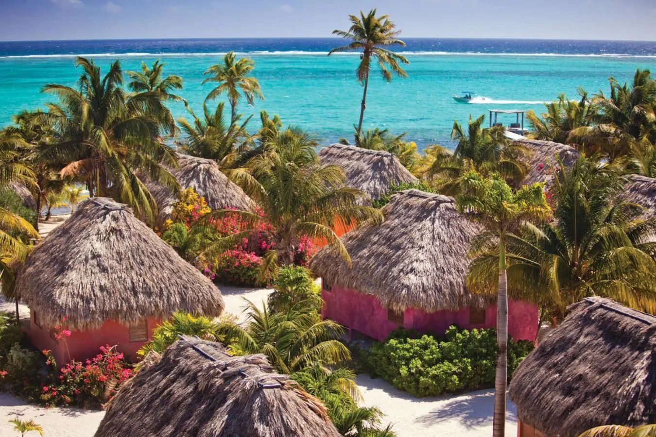 Thatch-roofed cabanas among palms and flowering shrubs above the turquoise sea on Ambergris Caye