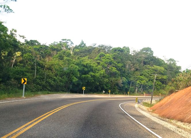 Green inland landscape along a Belize highway
