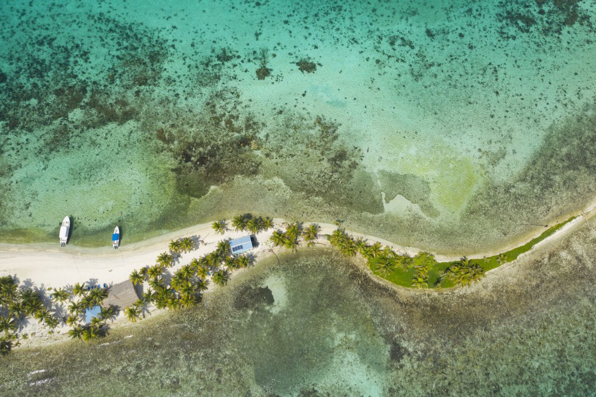 Aerial view of Belize coastline and forest