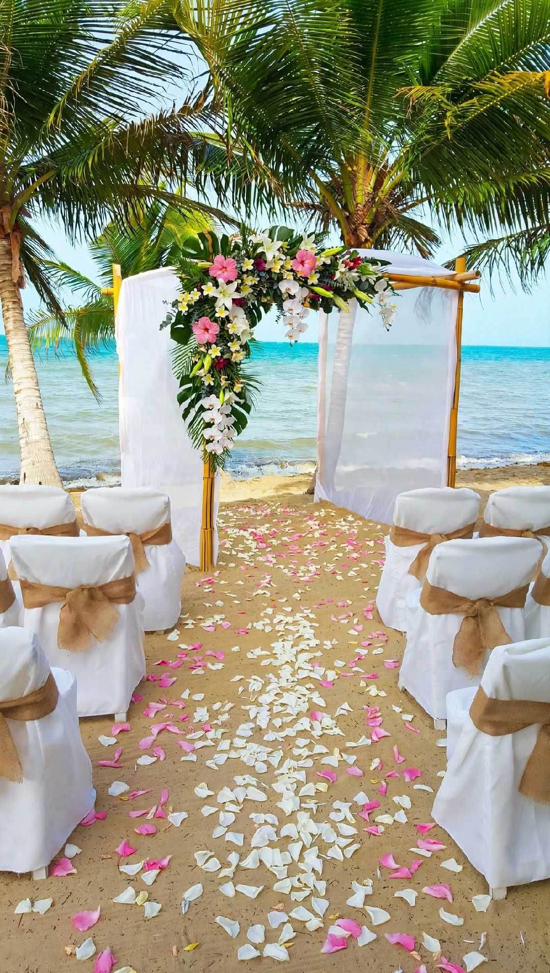 Flower-petal aisle lined with decorated chairs at a beach wedding